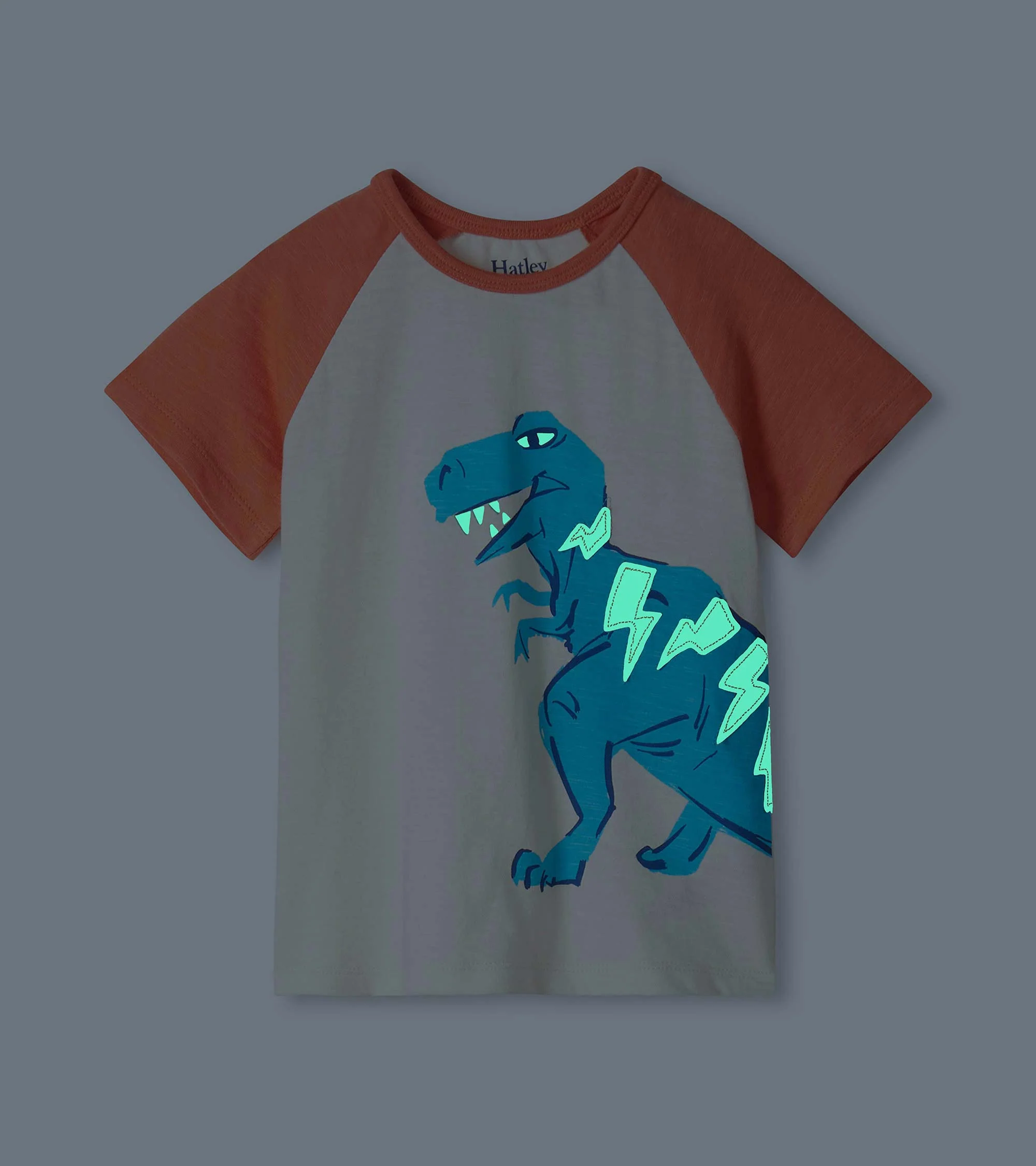 Baby & Toddler Boys Glow in the Dark Stegosaurus T-Shirt & Shorts Set - Image 2