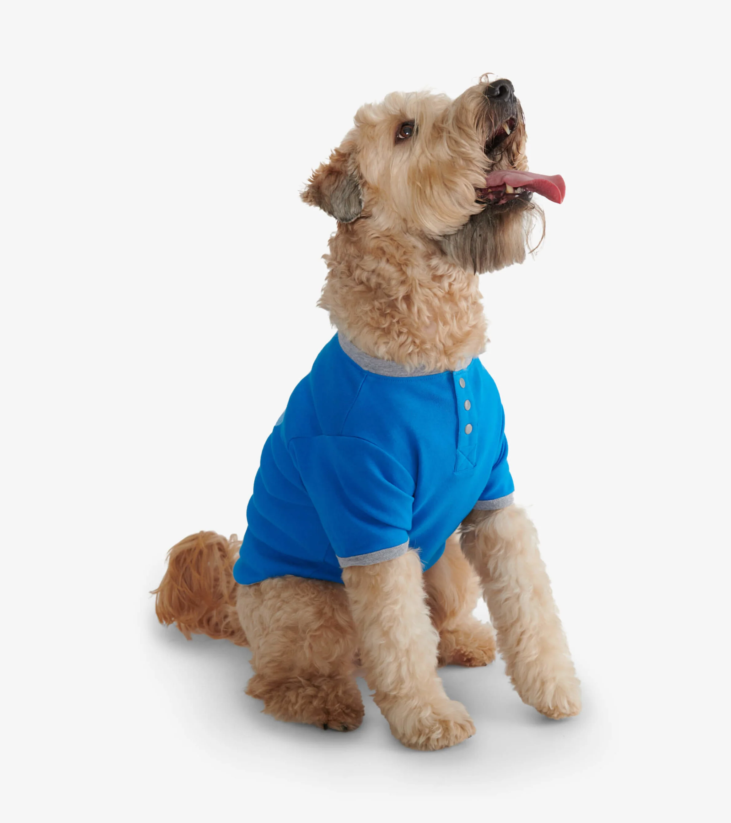 Big Mutts Dog Tee - Image 2