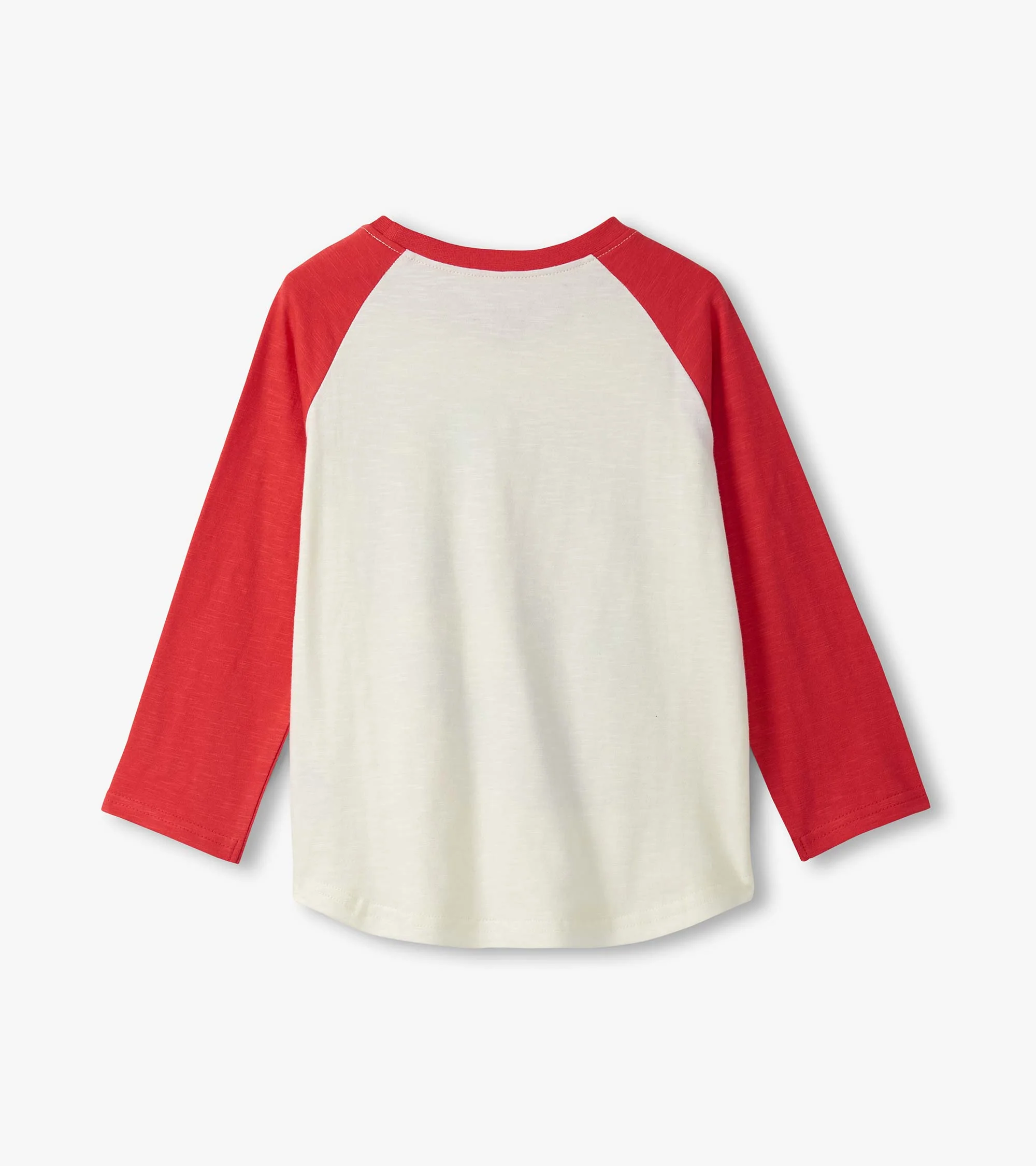 Boys Dinos Cubed Long Sleeve Raglan T-Shirt - Image 3