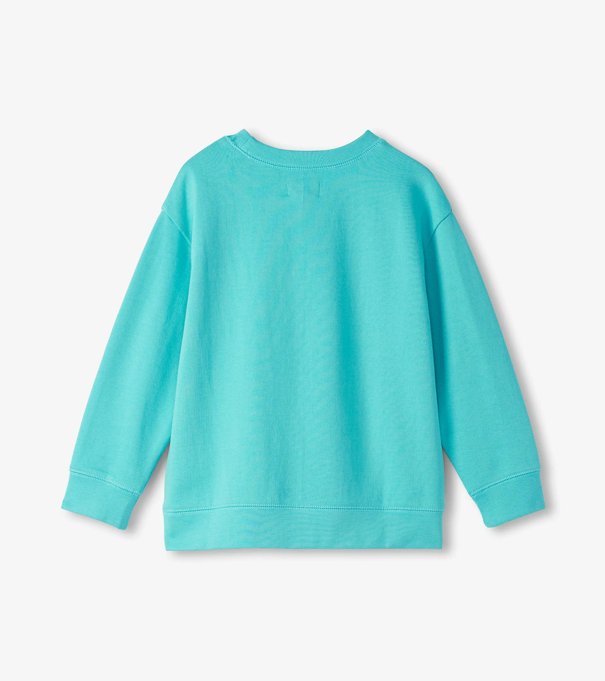 Boys Dinosaur Roar Sweatshirt - Image 3