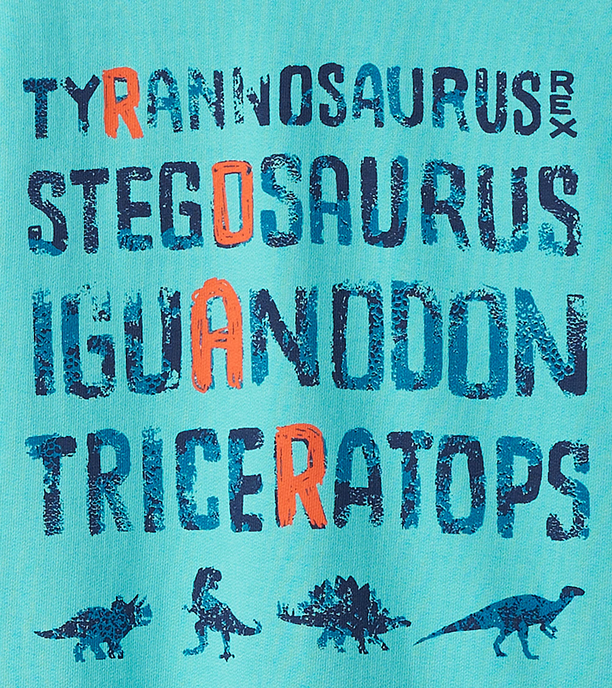 Boys Dinosaur Roar Sweatshirt - Image 5