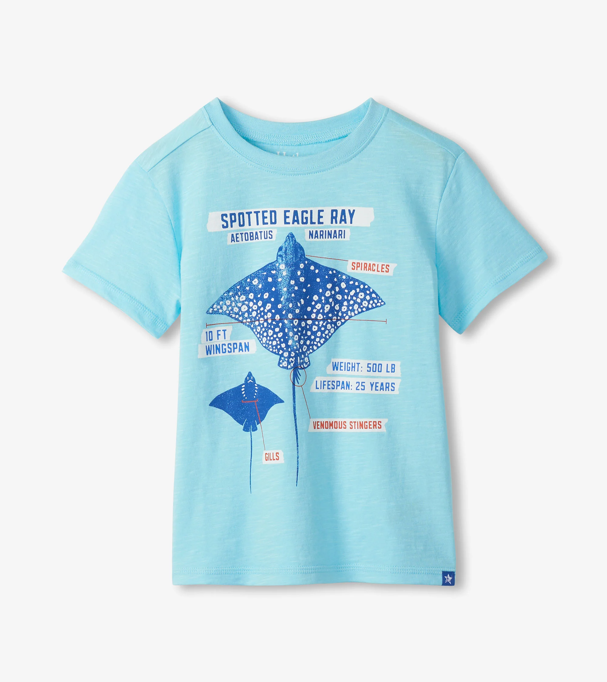 Boys Sting Ray Graphic Tee