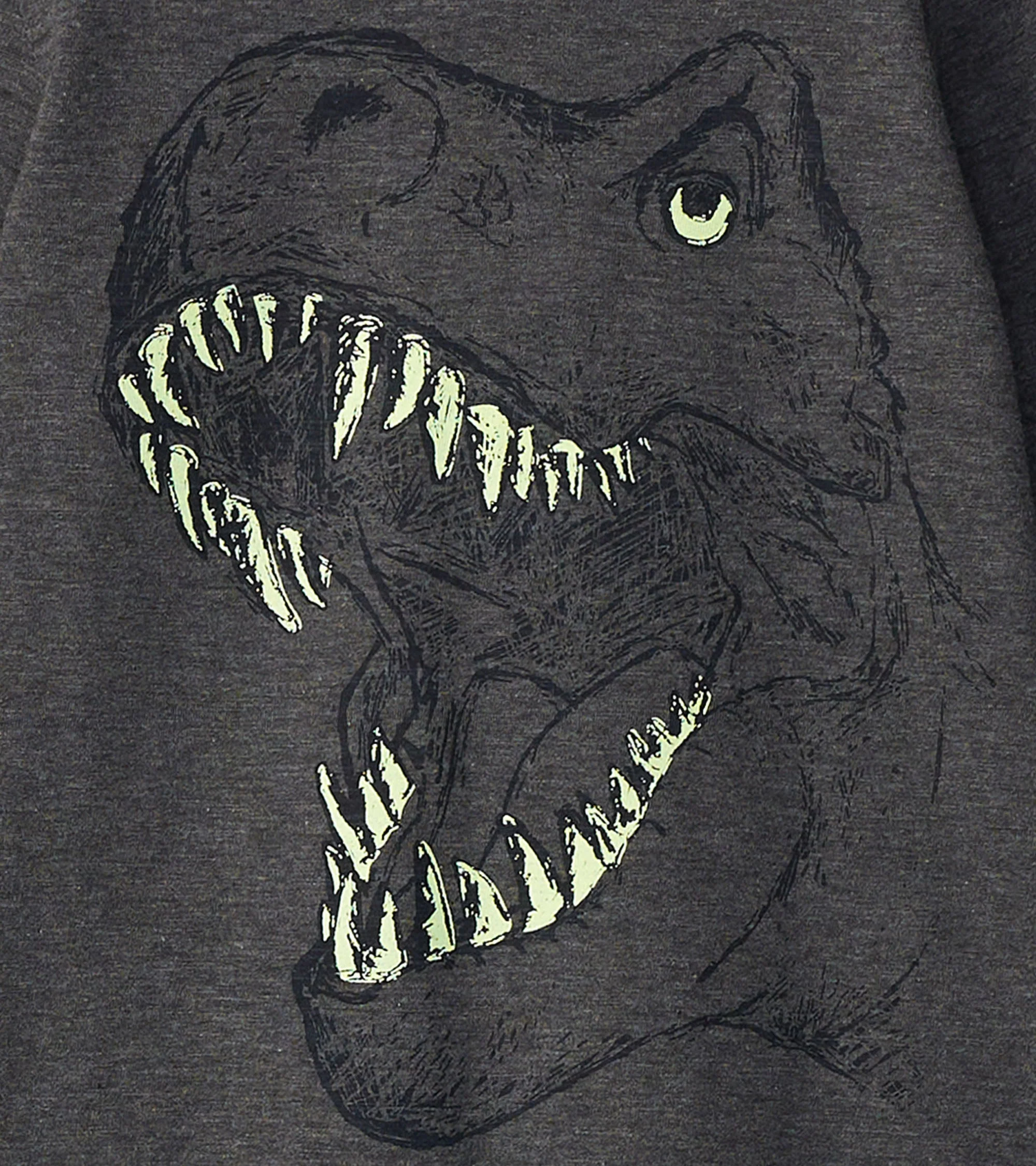 Boys T-Rex Glow in the Dark Long Sleeve T-Shirt - Image 6