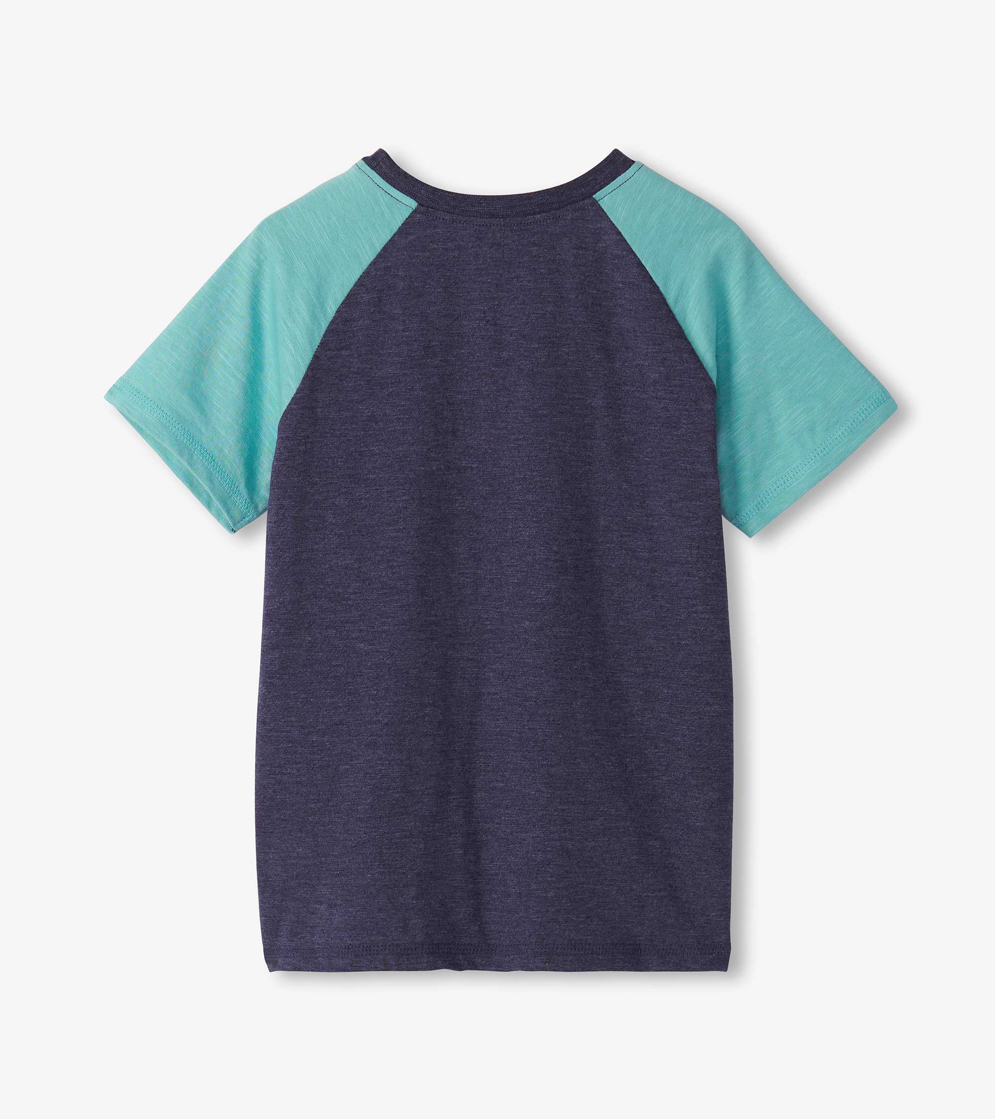 Boys T-Rex Raglan T-Shirt - Image 3