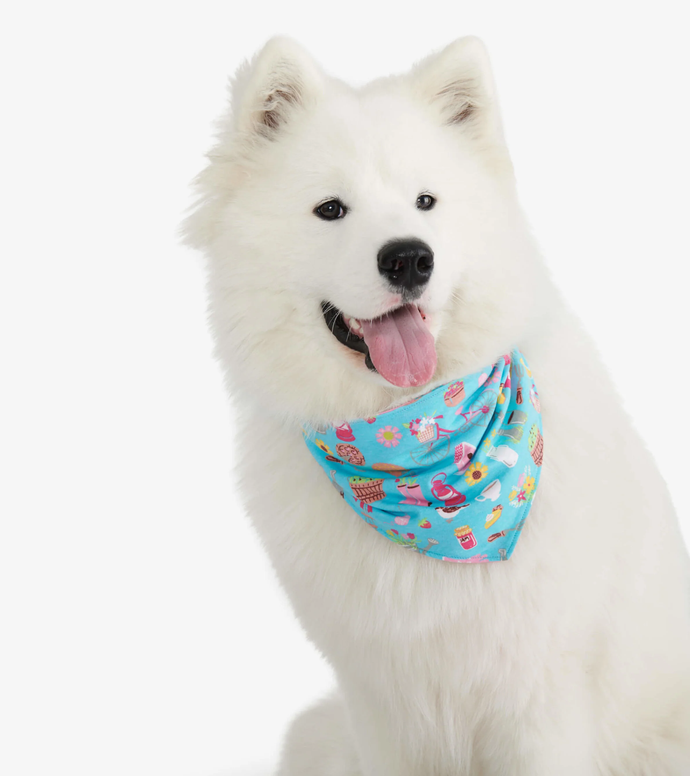 Country Living Reversible Dog Bandana - Image 2