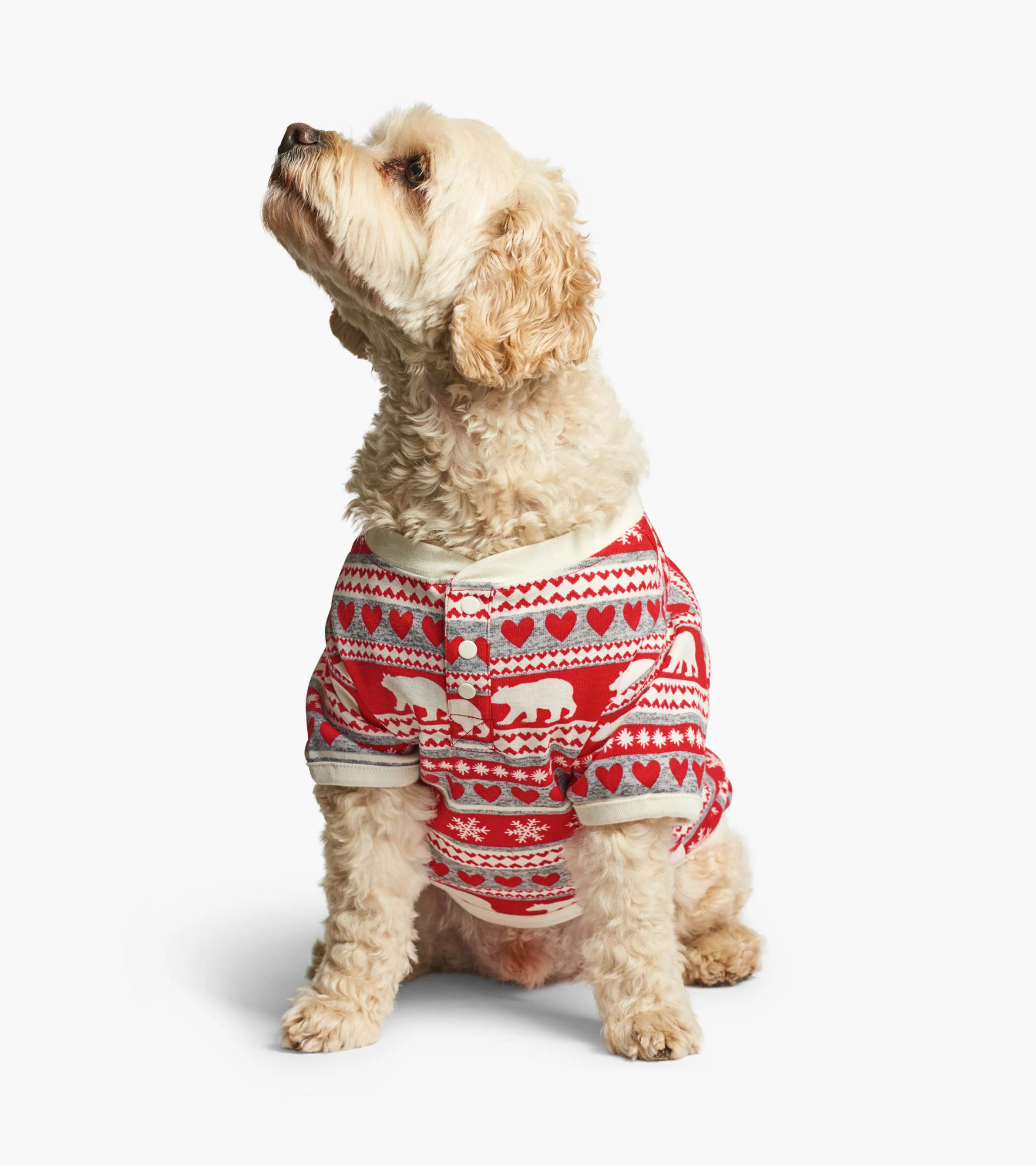 Fair Isle Bear Dog Pajama - Image 3