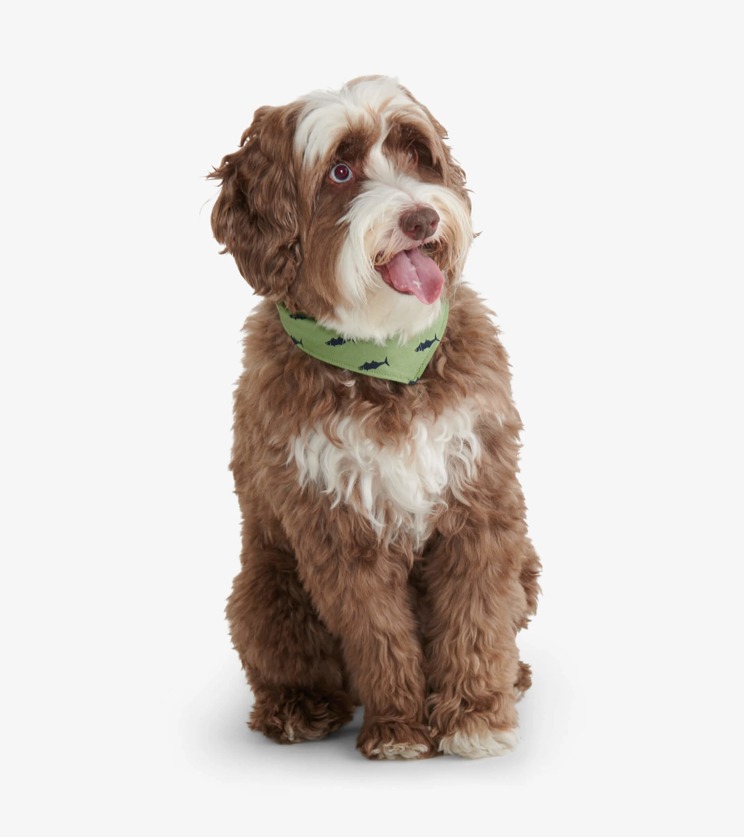Gone Fishing Reversible Dog Bandana - Image 2