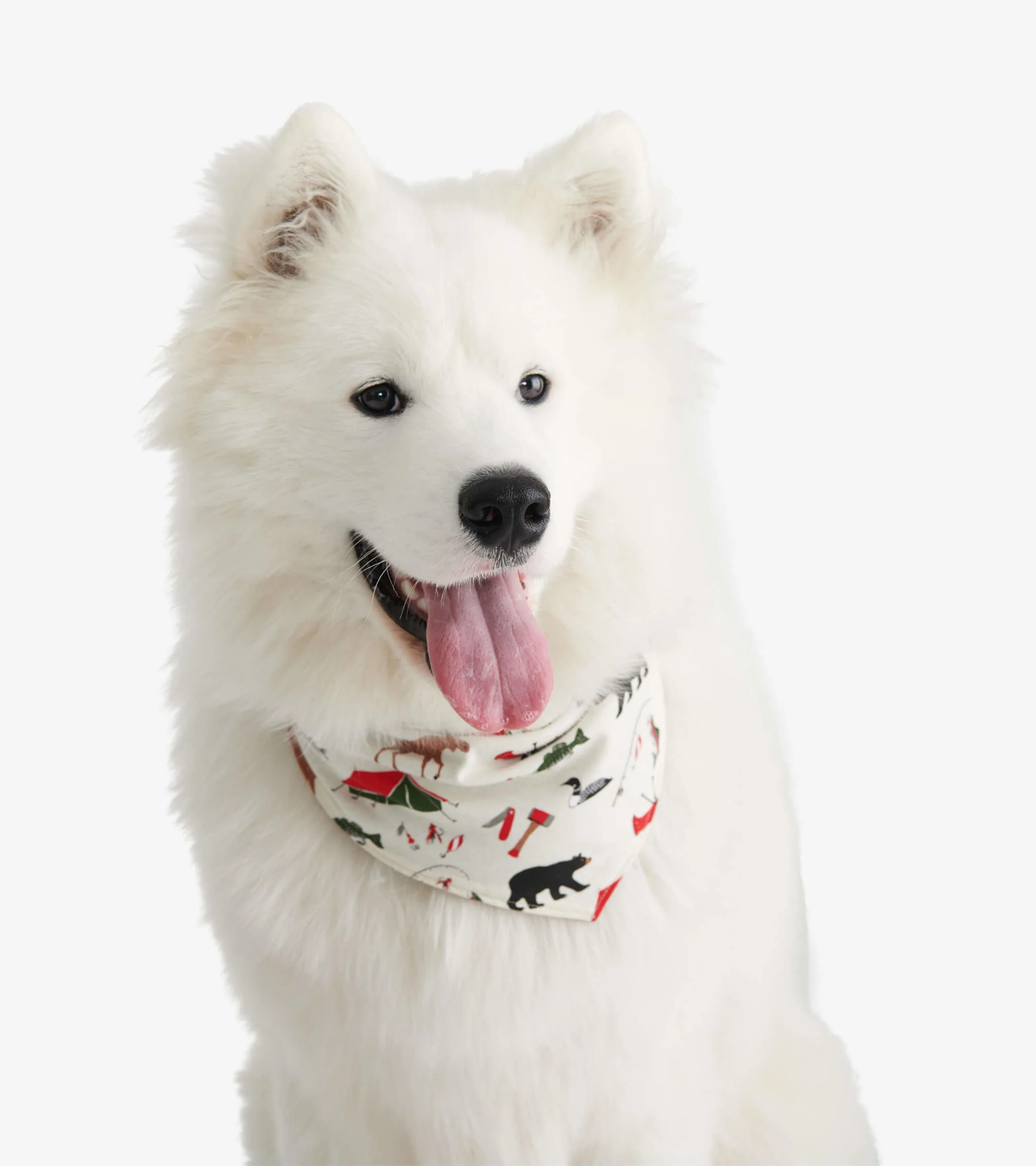 Happy Camper Reversible Dog Bandana - Image 2