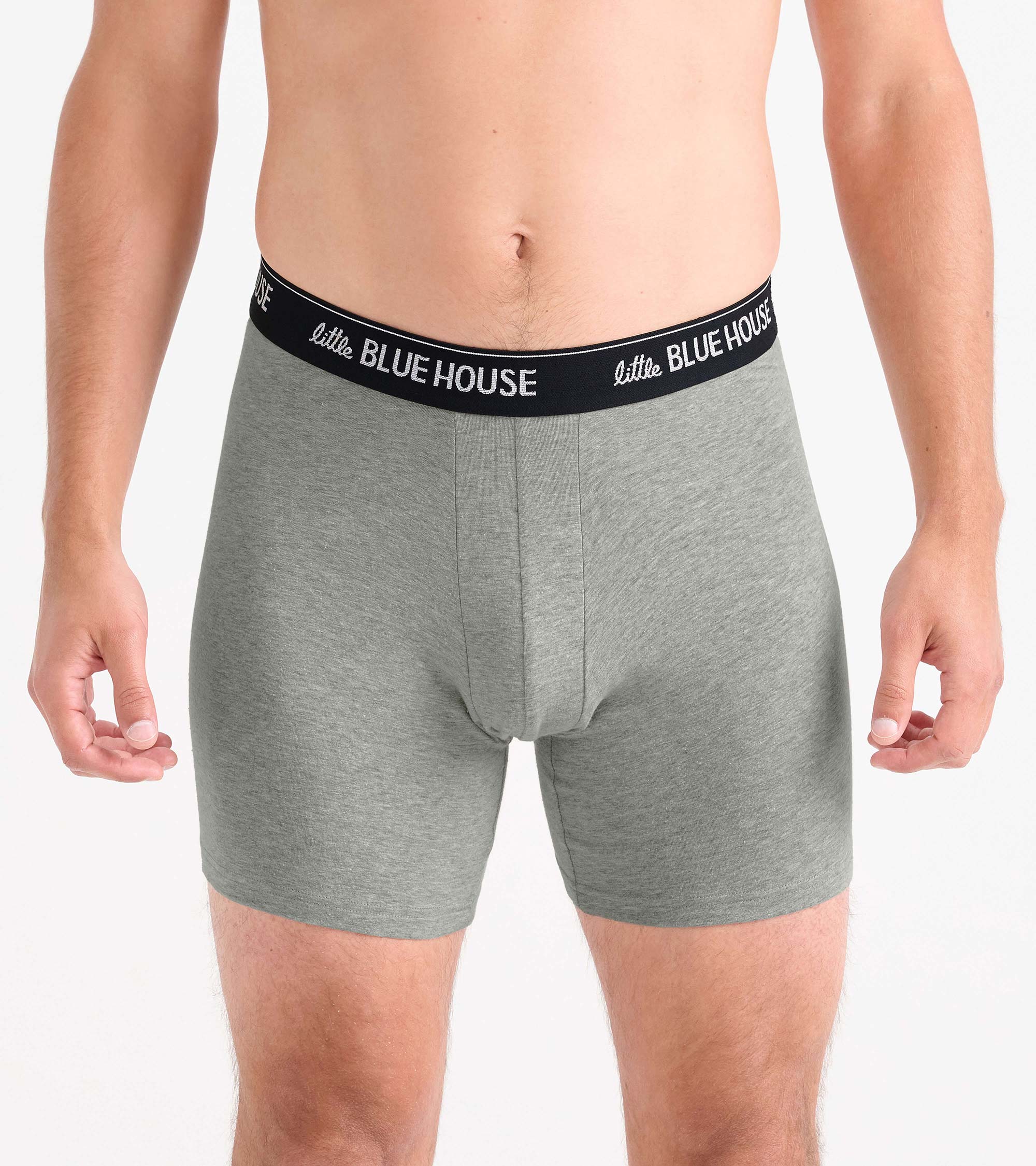 Men's Big Dill Boxer Brief - Image 2