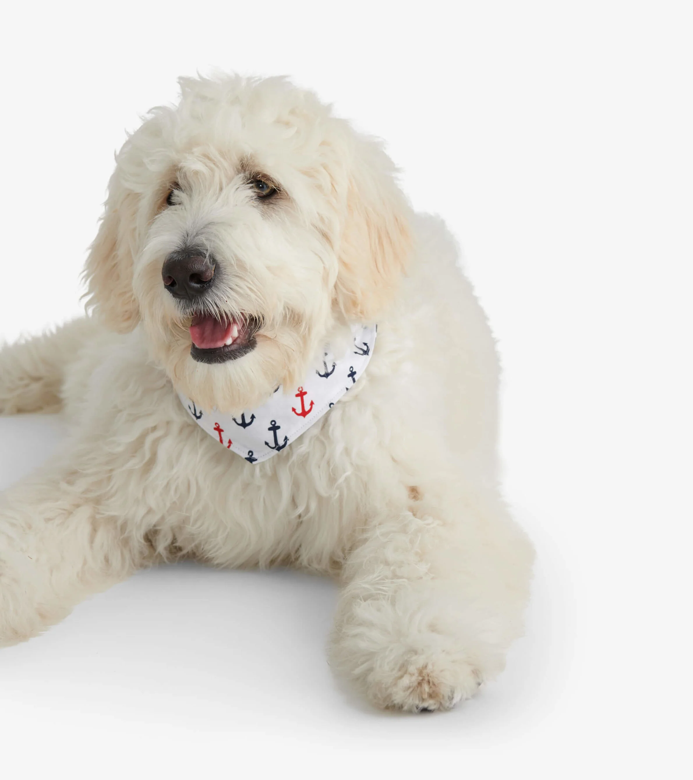 Nautical Anchors Reversible Dog Bandana - Image 2