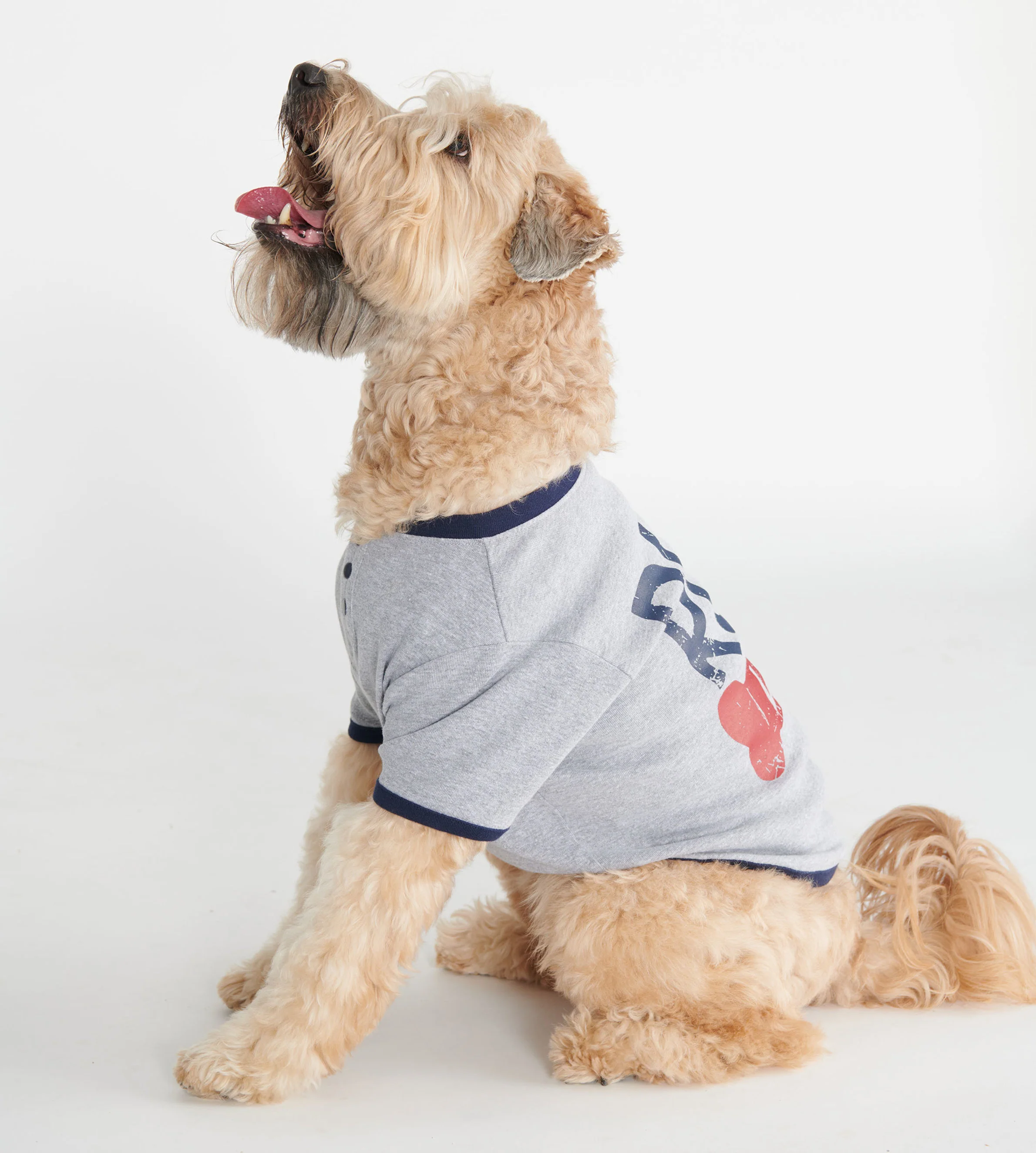Ruff Life Dog Tee - Image 3