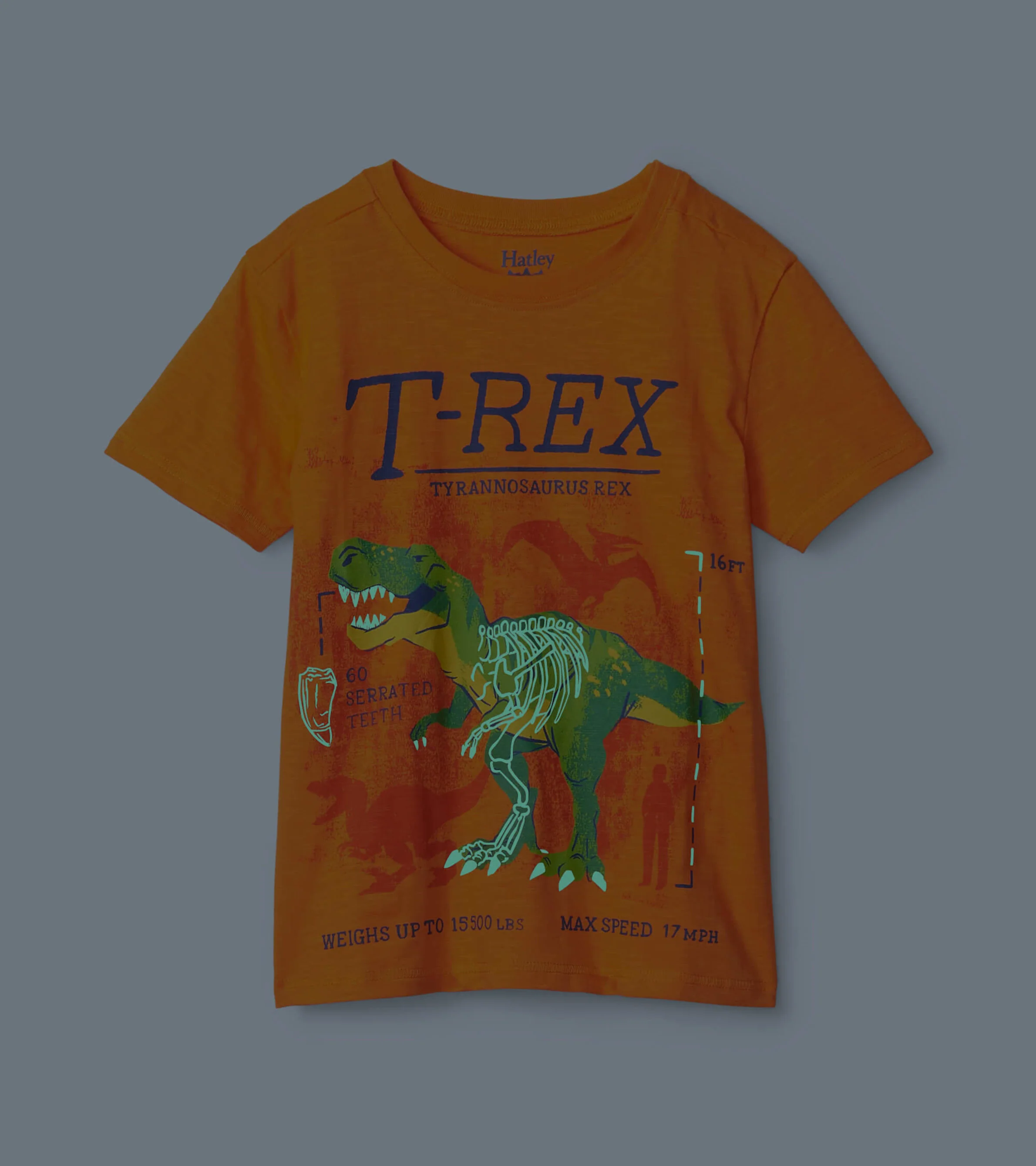 T-Rex Glow In The Dark Graphic Tee - Image 2
